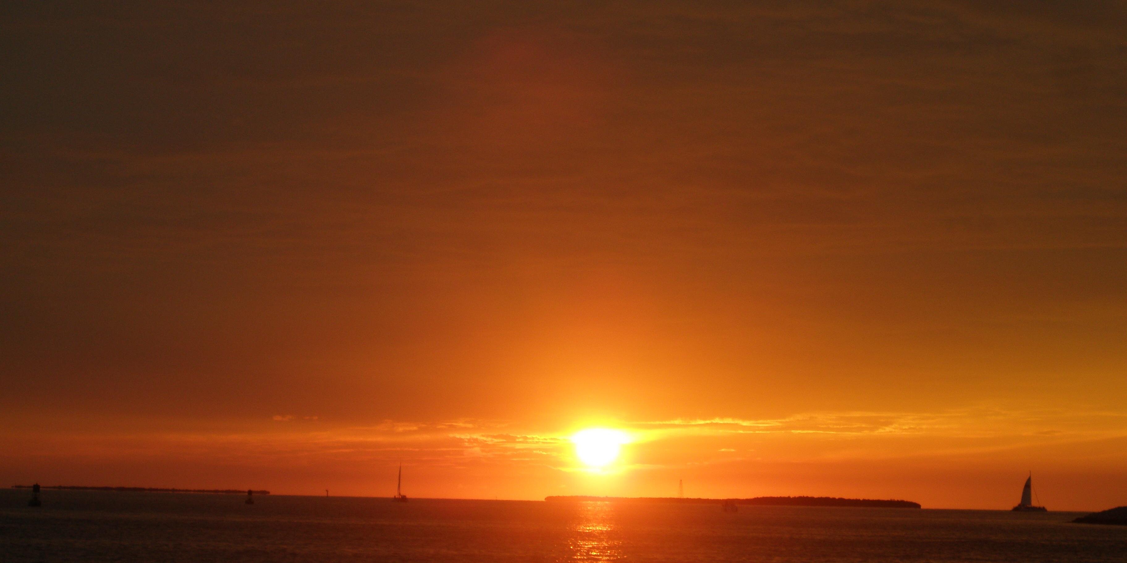 Maria Solista banner