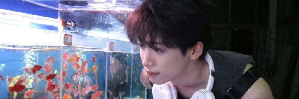 bbibbimmyeon's profile banner image