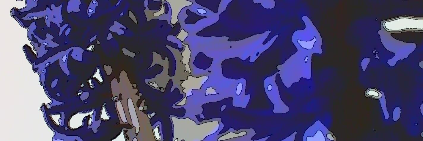 almut banner