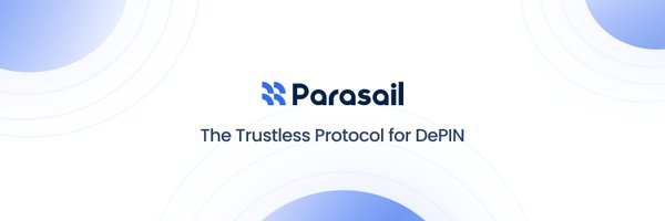 parasailnetwork Profile Banner