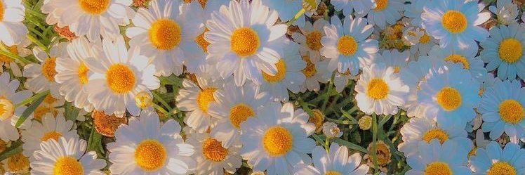 ishirin_oep's profile banner image