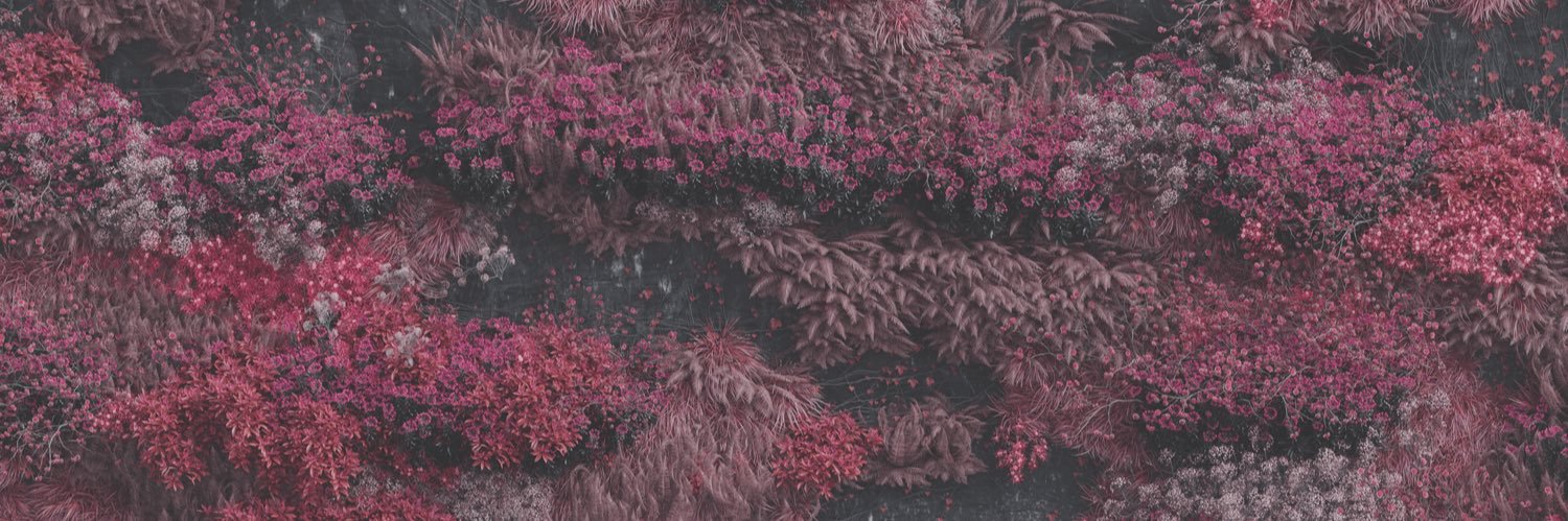 Jess🌻's banner