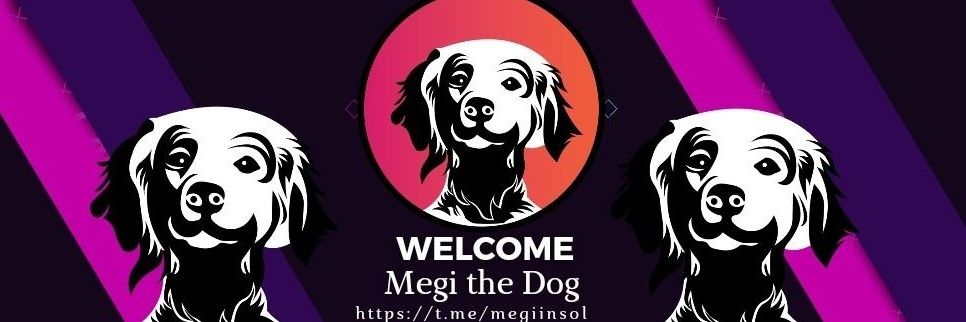 Megi In Sol banner