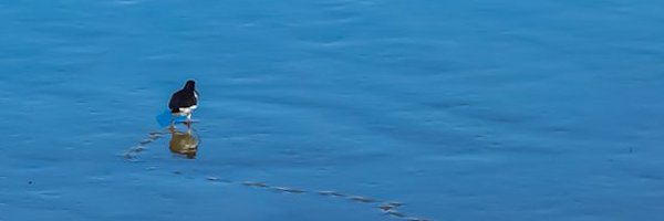 AndreasHMue Profile Banner