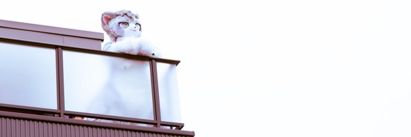 dry_to_tri Profile Banner
