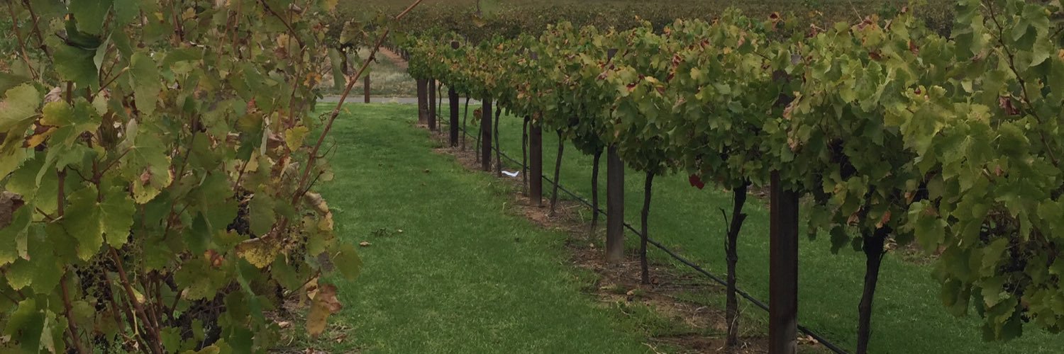 drinerson's profile banner image