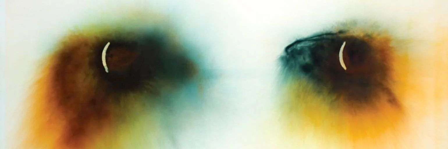 SolisPrague's profile banner image