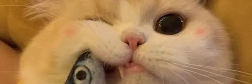 joanyazz86's profile banner image
