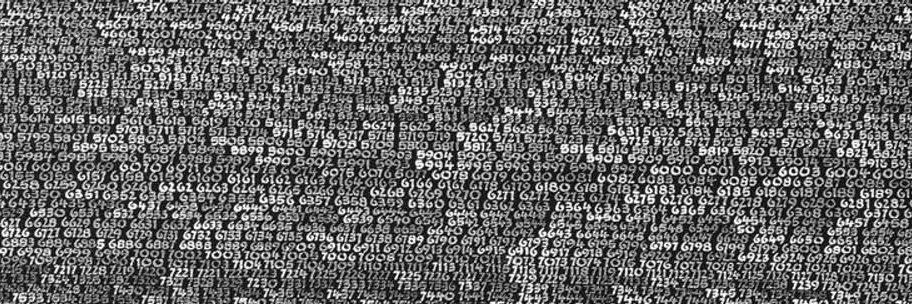 Stéphane Dufournet banner