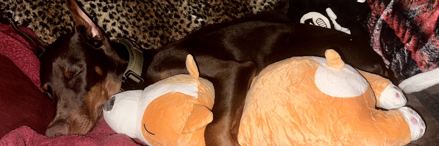 WindsweptGirl banner