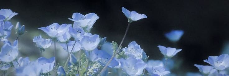 ashe079_'s profile banner image