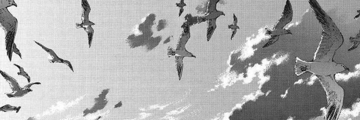 zee of shedtwt banner