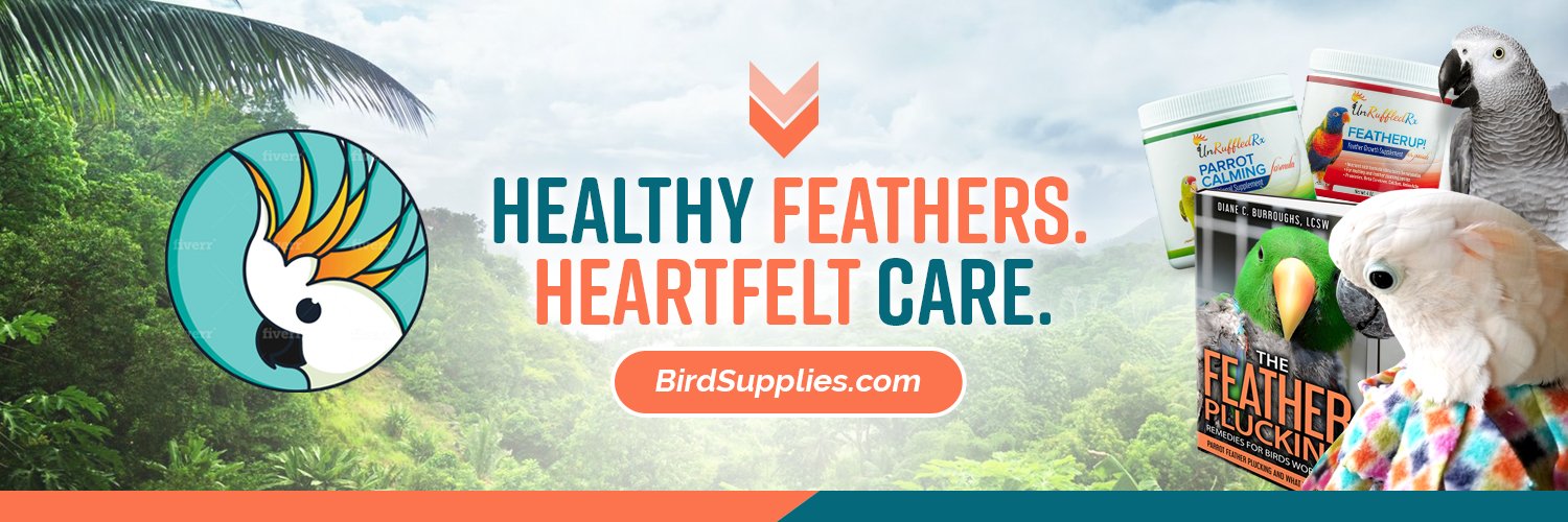 BirdSupplies's profile banner image