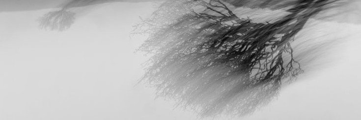 alexavagf's profile banner image