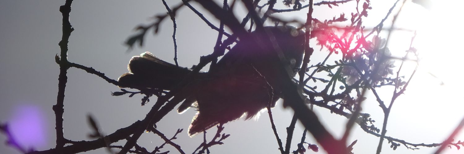 non8694's profile banner image