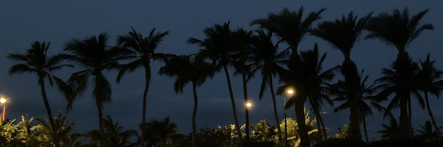 🌊 banner