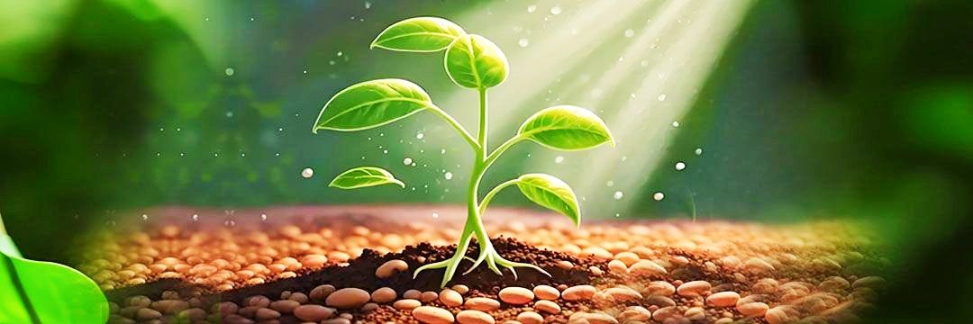 豆豆.eth🌱 banner