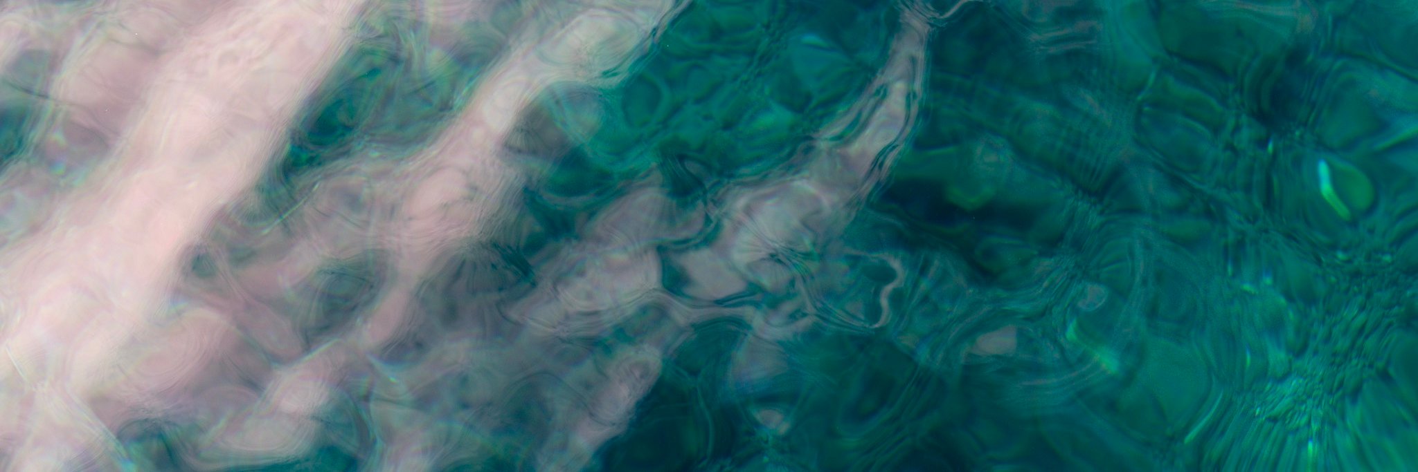halacska's profile banner image