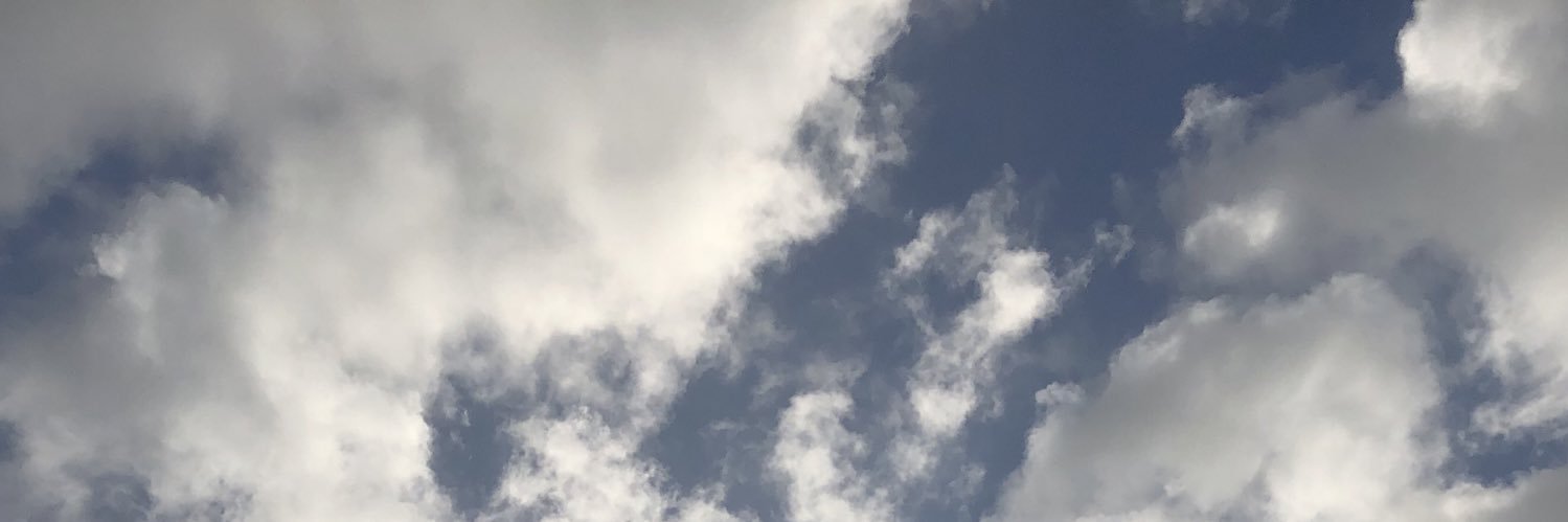 AriSGuzman13's profile banner image