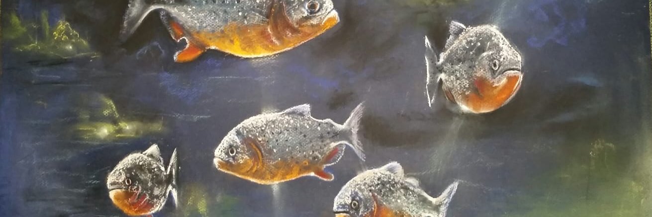 Arthur Andrade banner