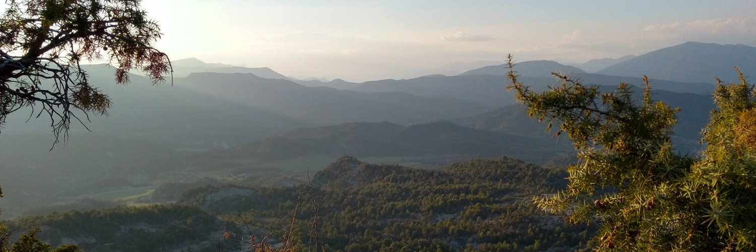 maelmonnier's profile banner image