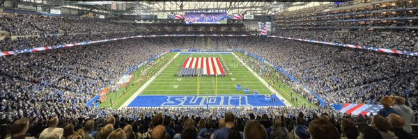 Section344Lions Profile Banner