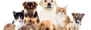 marieache's profile banner image
