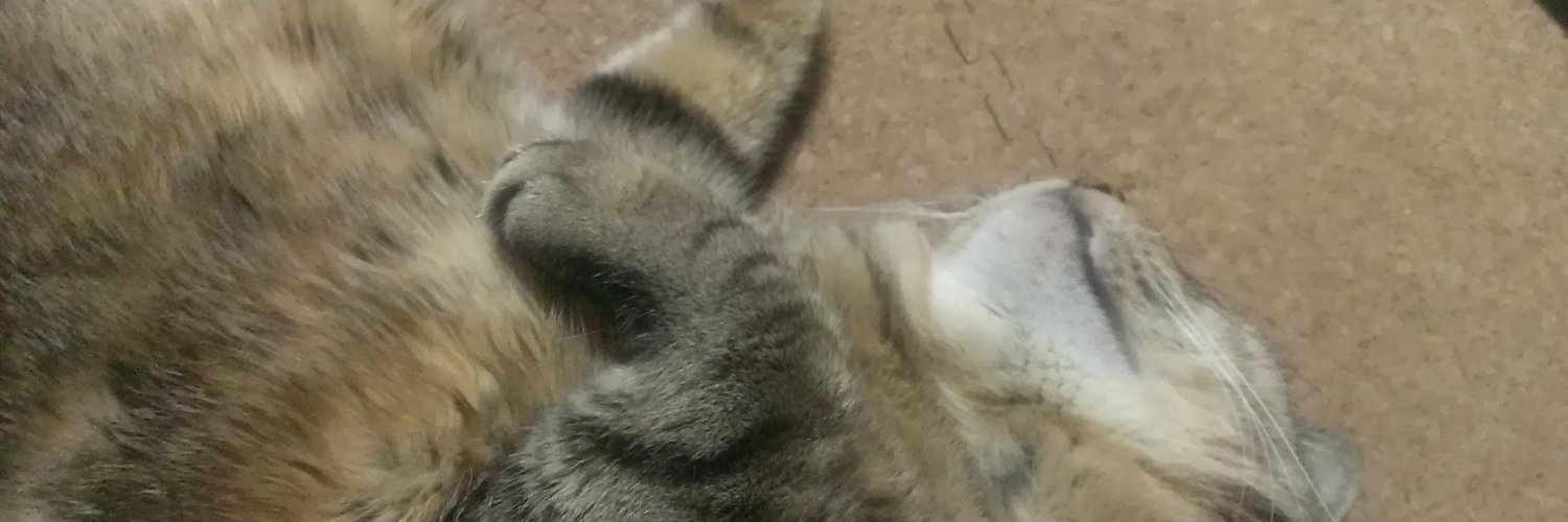 kissbard's profile banner image
