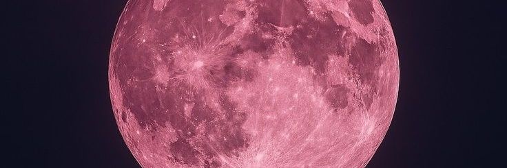 ✨Mangae~ 🥀 banner