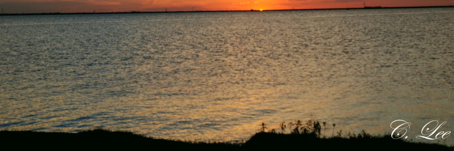 Cacilee's profile banner image