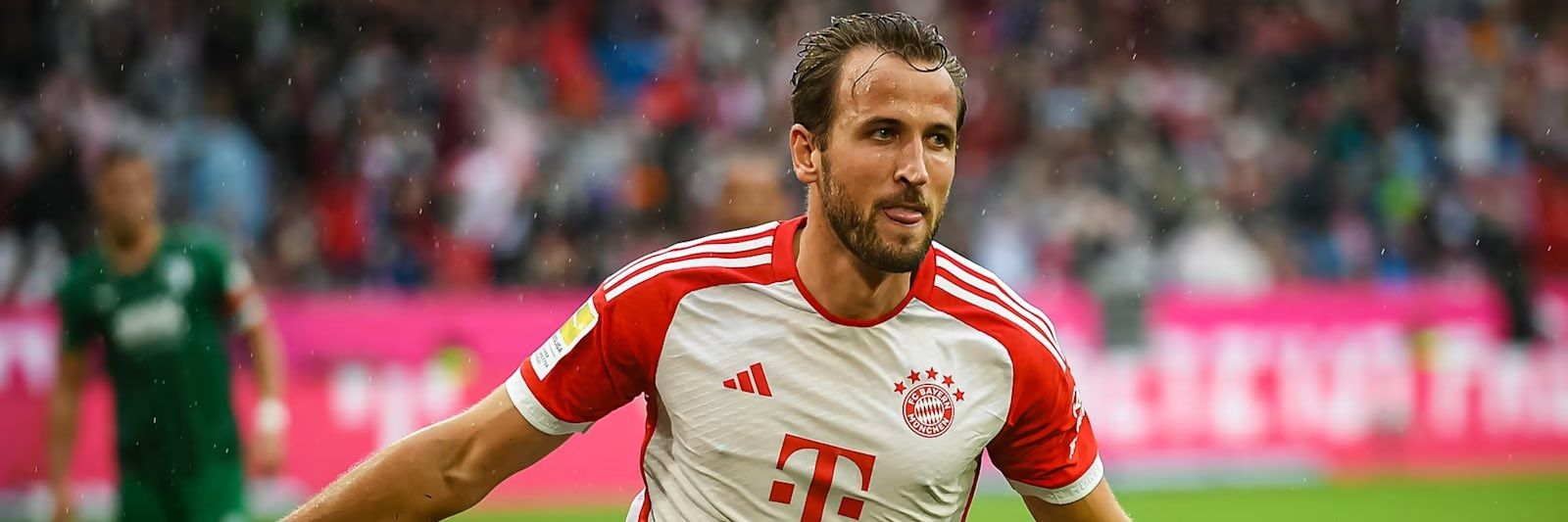 Kim Ju AE Stan 🌱 banner