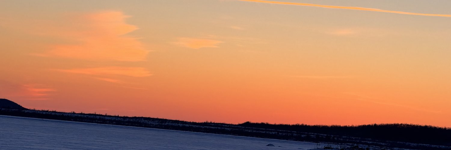 IcarusPIG banner