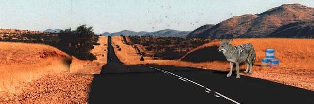 Stymie Coyote banner