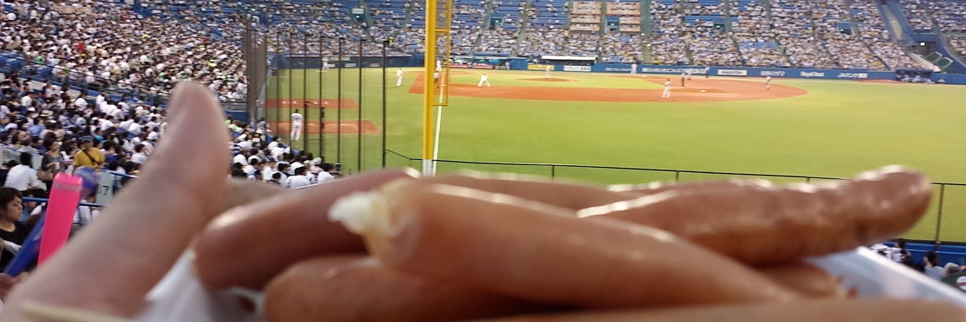 野獣を探しています banner