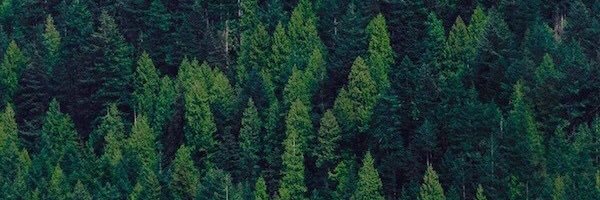 Adam Lloyd banner