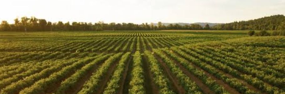 AtvtK31649's profile banner image