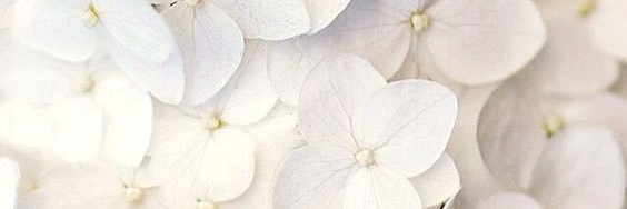 DominguezGamez's profile banner image