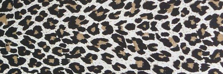 LicyLoooo's profile banner image