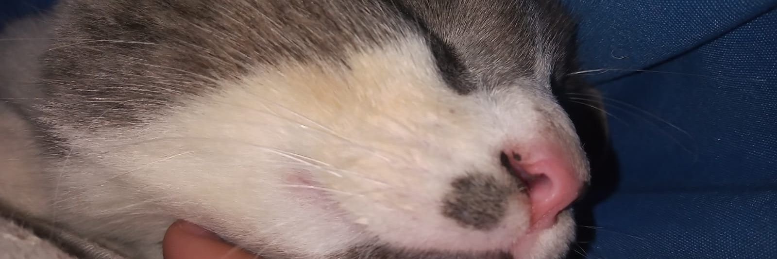 ayegomez91's profile banner image