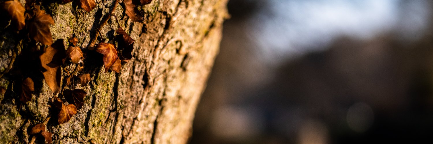 QuentinChevance's profile banner image