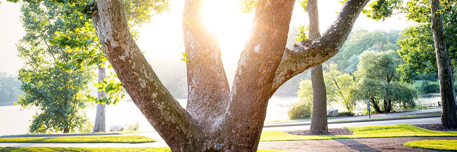 rmeehan6's profile banner image