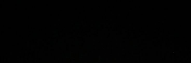 The Terpsichorean Artist. ✪ banner