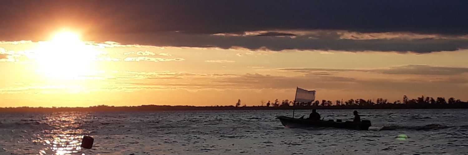 ferygus's profile banner image