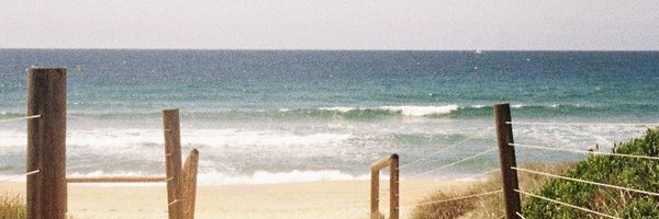 renthoos Profile Banner