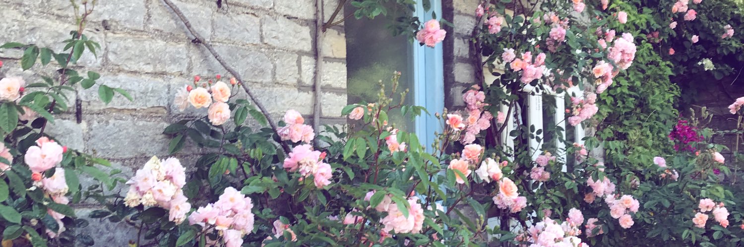 CandyAnnMorris's profile banner image