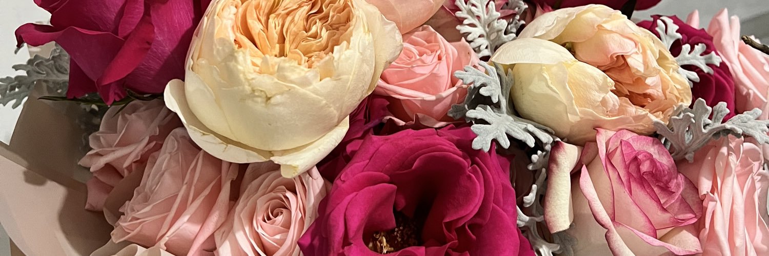 bonilla1415's profile banner image
