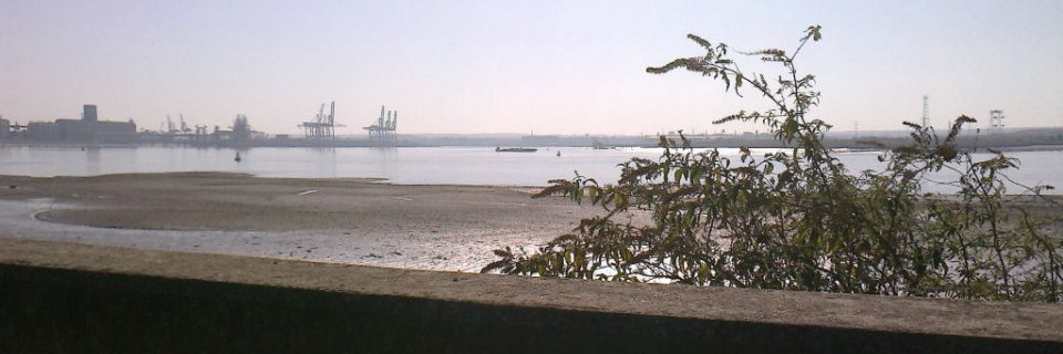 PanikosGB banner