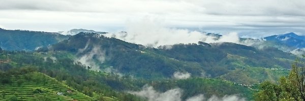 pradeep20413 Profile Banner