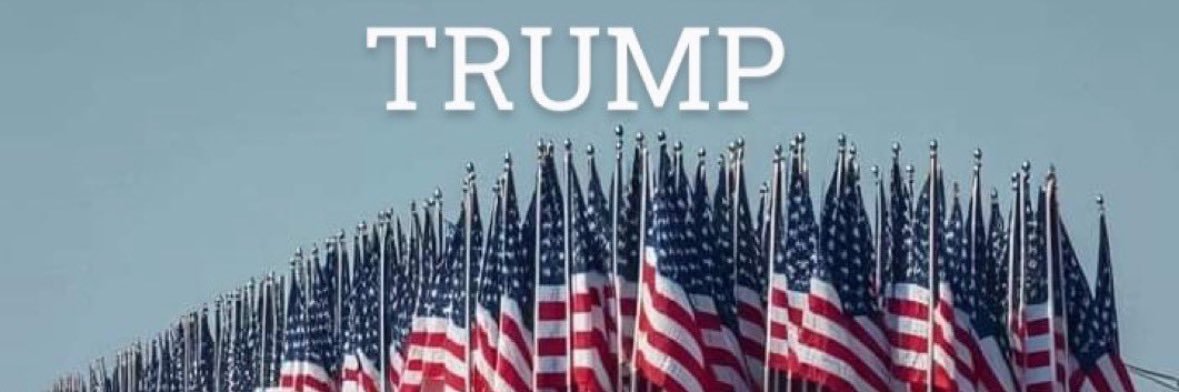 🕊️🇺🇸CJ🕊️🇱🇧Freemind's banner