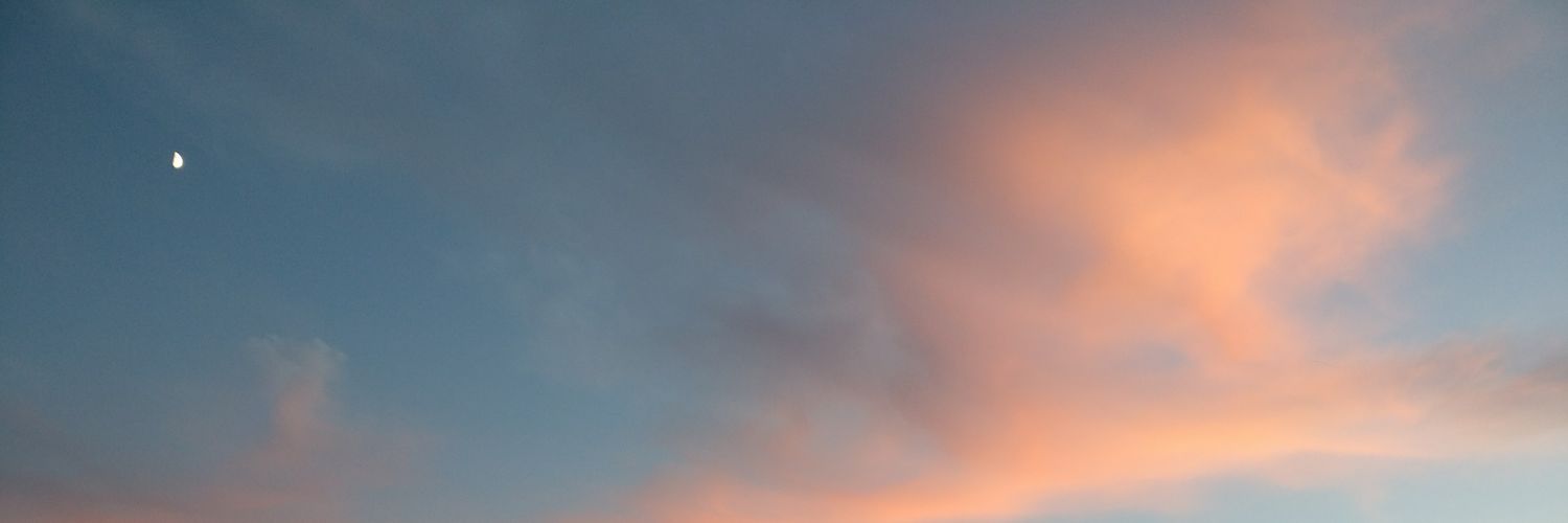 GabiSchel's profile banner image